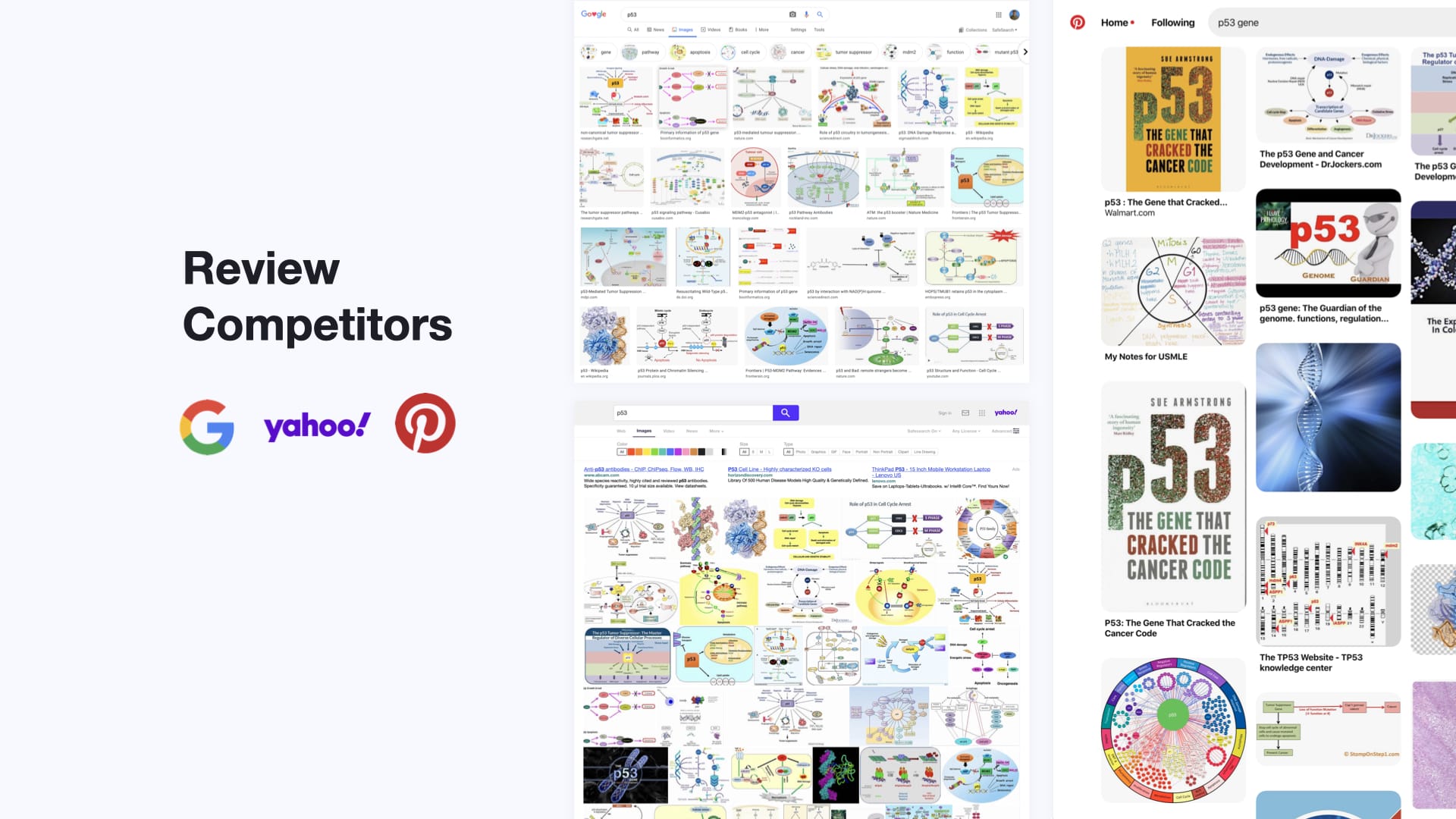 Antibodies Search - Research