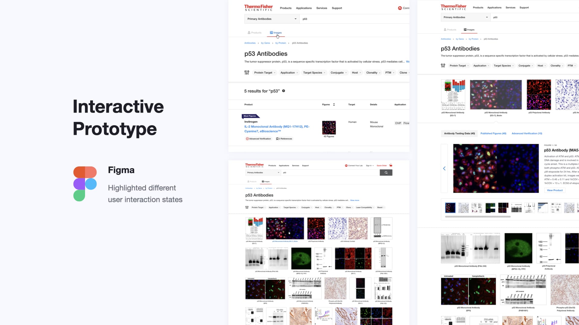 Antibodies Image Search Prototyping