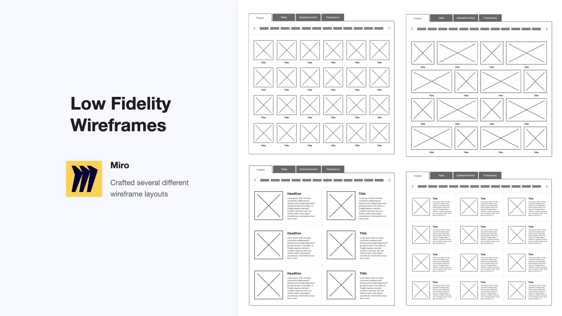 Antibodies Image Search Wireframes